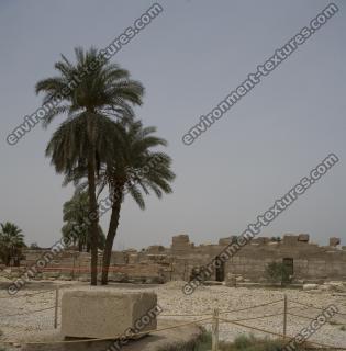 Photo Texture of Karnak Temple 0007